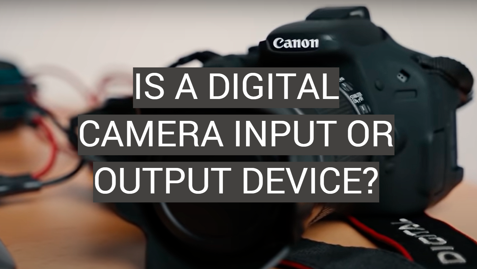 Is a Digital Camera Input or Output Device?