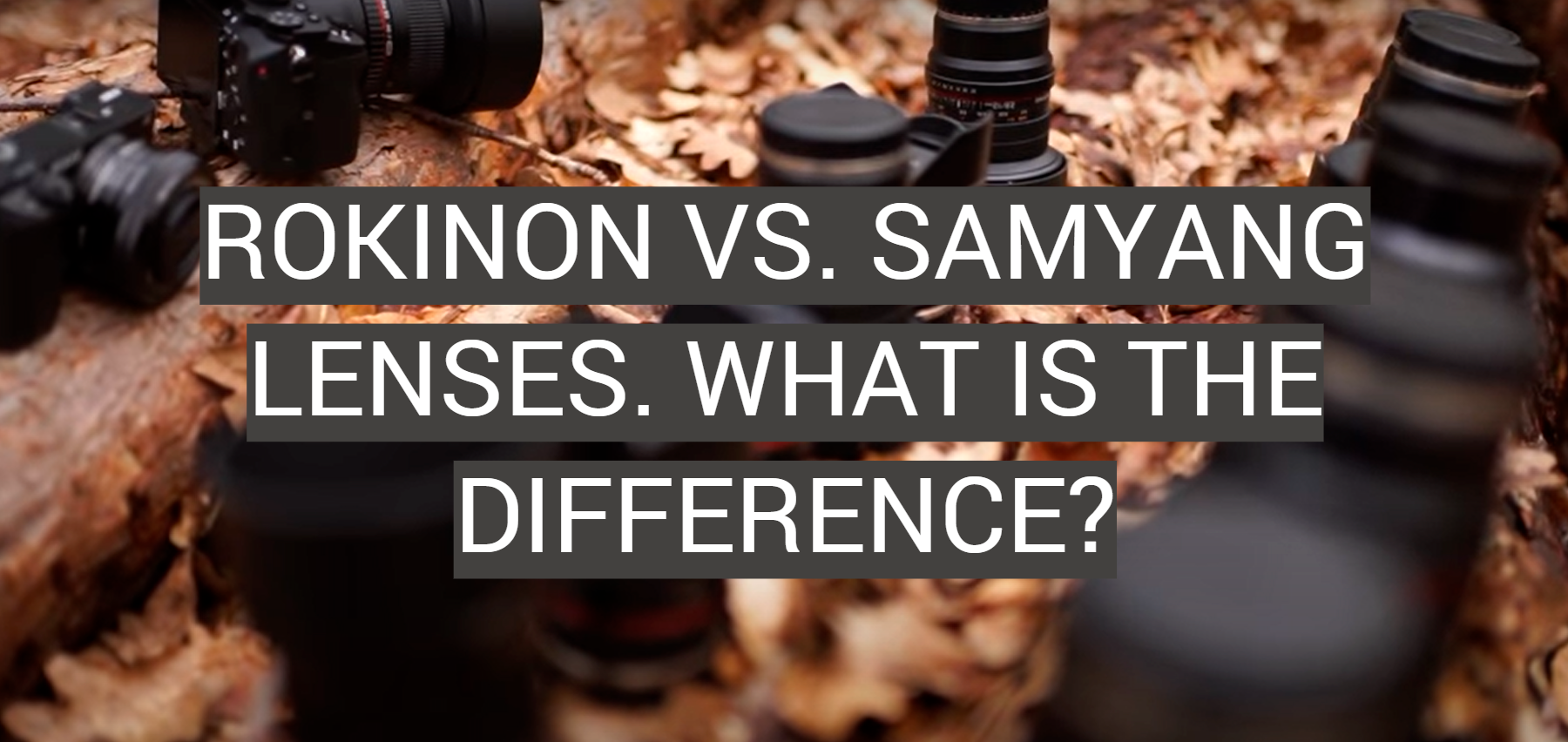 Rokinon vs. Samyang Lenses. What is the Difference?