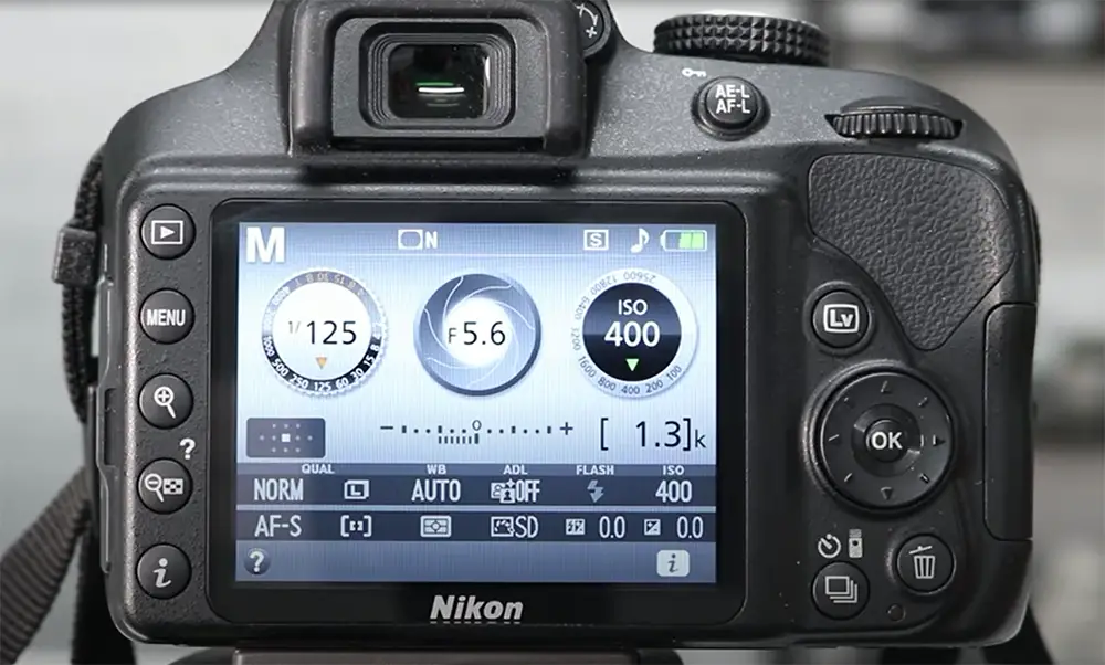 Things Worth Knowing About Adjusting the ISO on the Nikon D3500