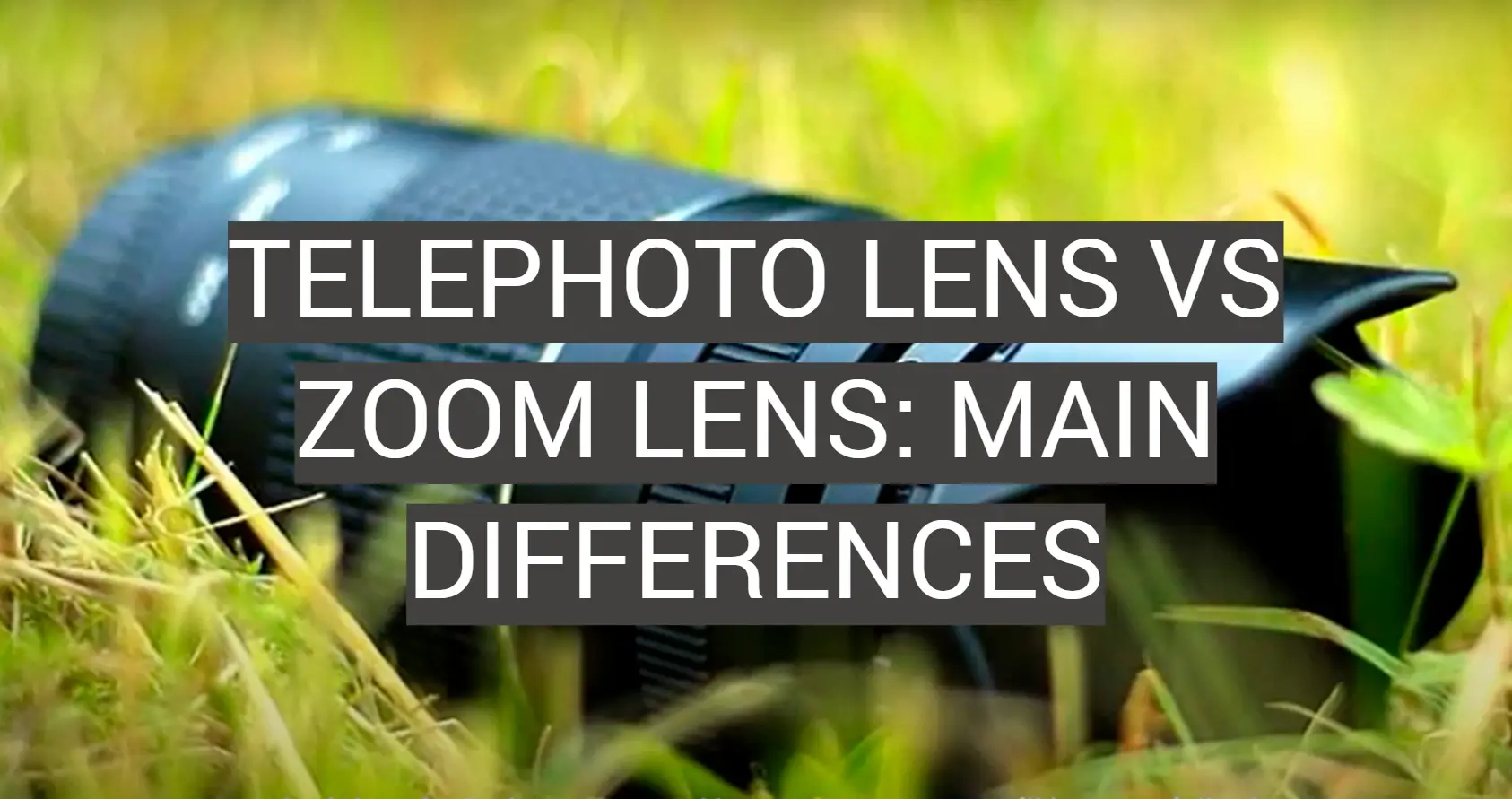 Telephoto Lens vs Zoom Lens: Main Differences