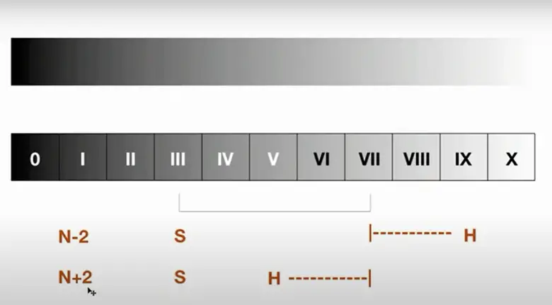 What is Value in Photography? Easy Explanation! - FotoProfy