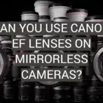 Can You Use Canon EF Lenses on Mirrorless Cameras?