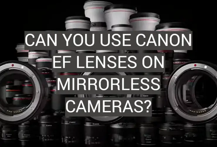 Can You Use Canon Lenses on Sony? FotoProfy