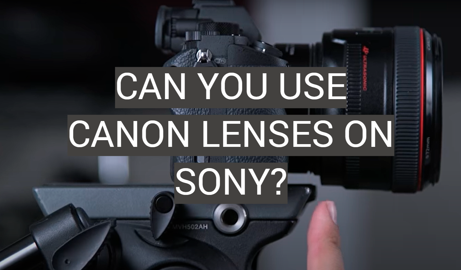 Can You Use Canon Lenses on Sony?
