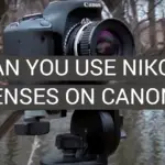 Can You Use Nikon Lenses on Canon?