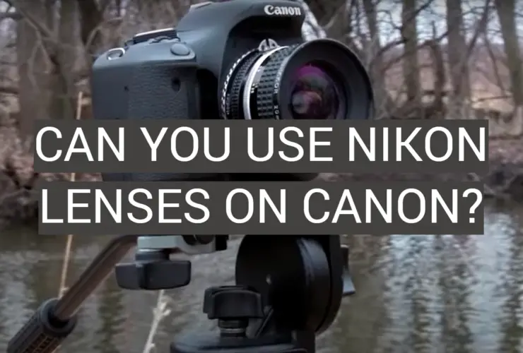 Can You Charge Nikon D3500 With USB? FotoProfy