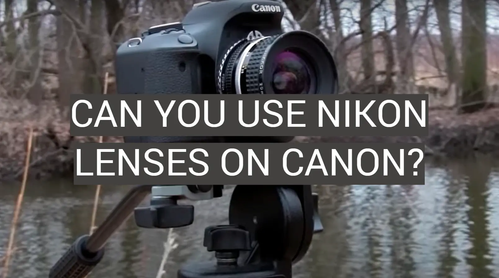 Can You Use Nikon Lenses on Canon?