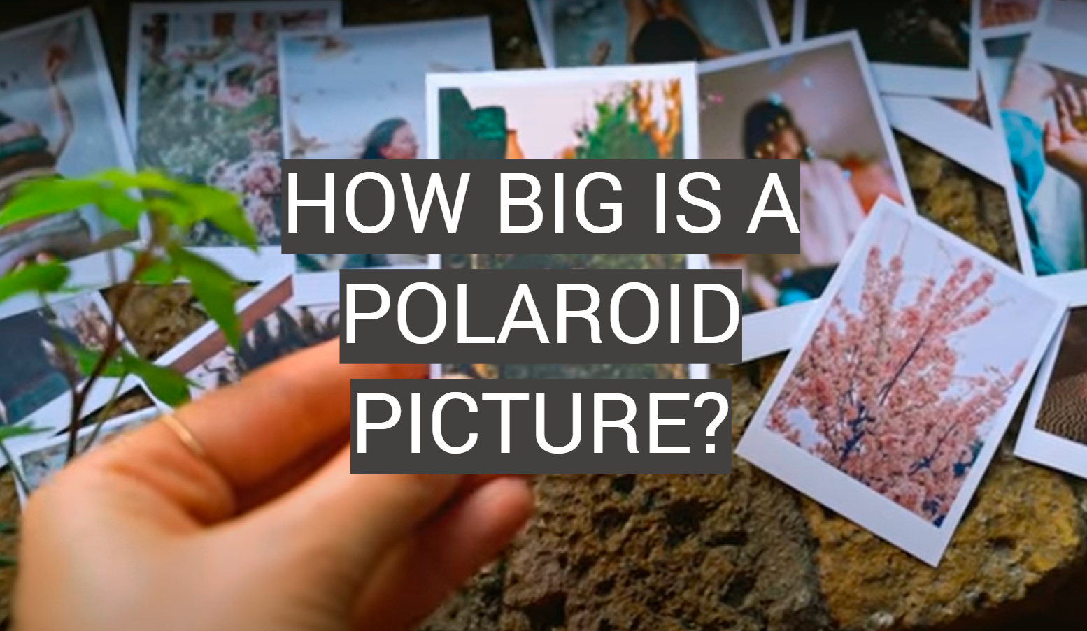 How Big Is a Polaroid Picture?