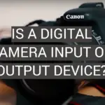 Is a Digital Camera Input or Output Device?