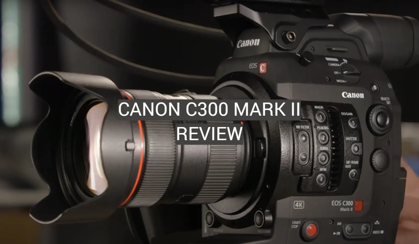 Canon C300 Mark II Review