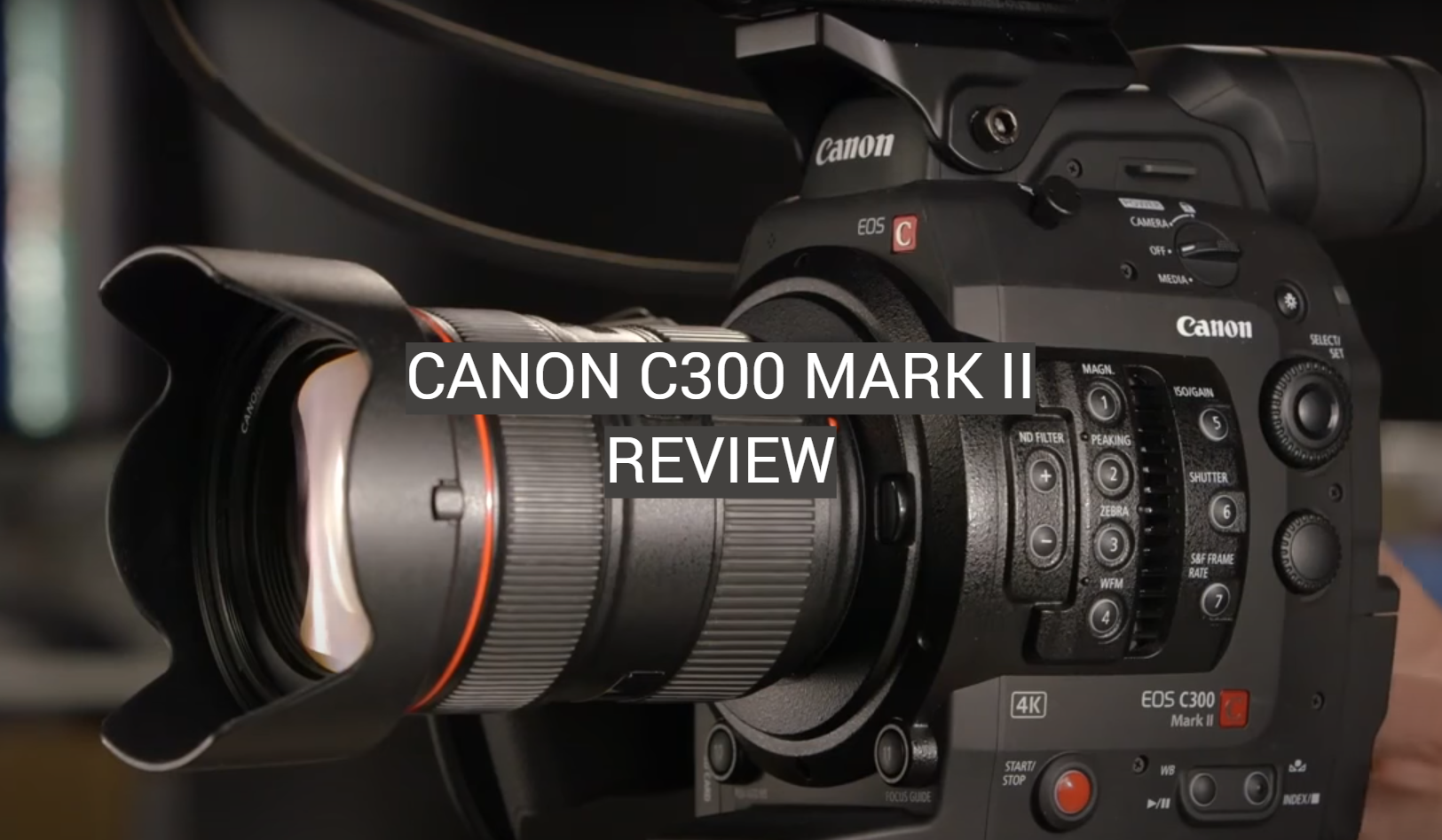 Canon C300 Mark II Review