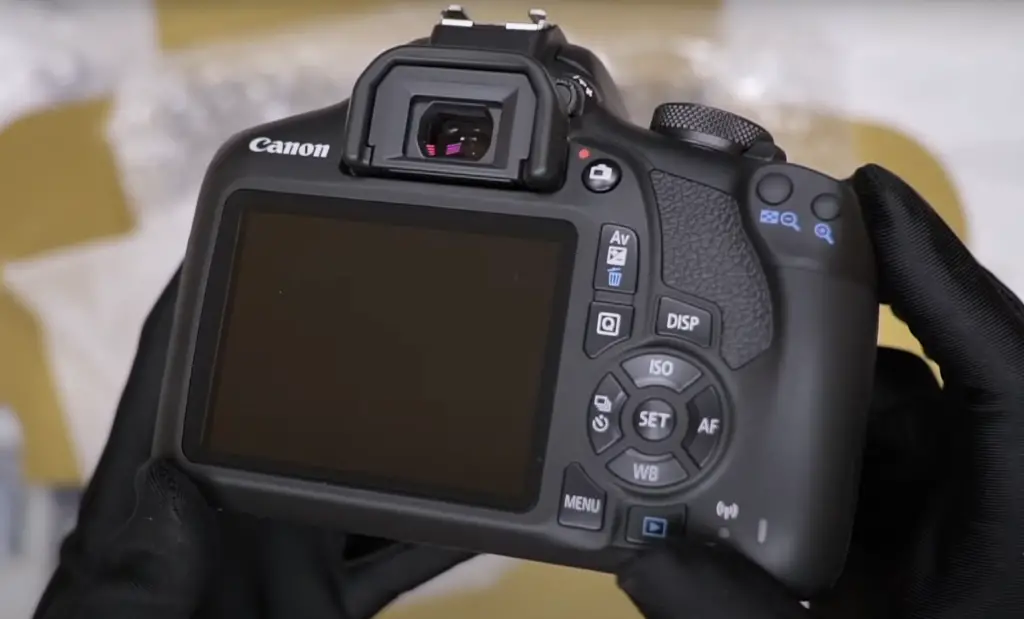 How to Maintain Canon EOS 2000D?