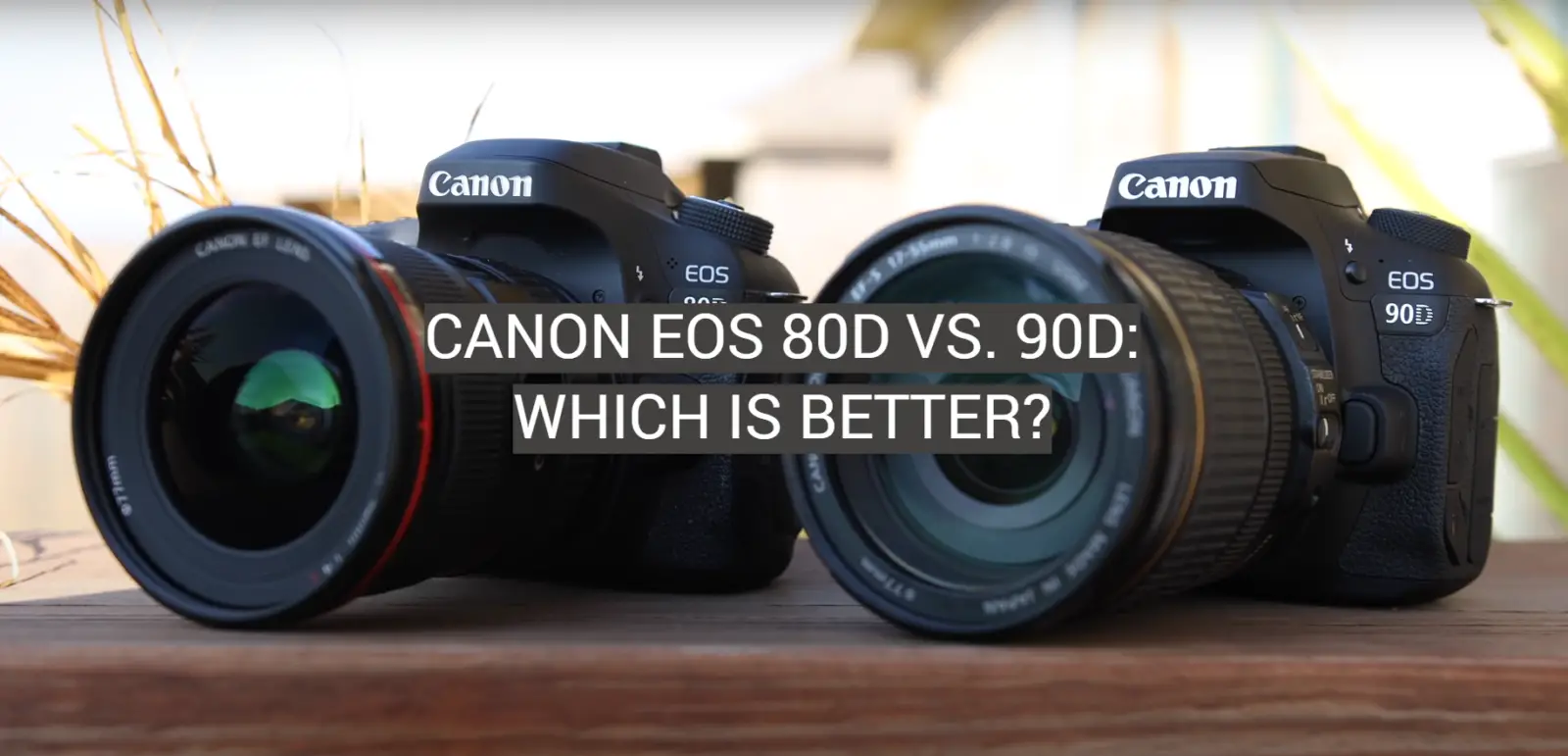 Canon EOS 80D vs. 90D: Which is Better?