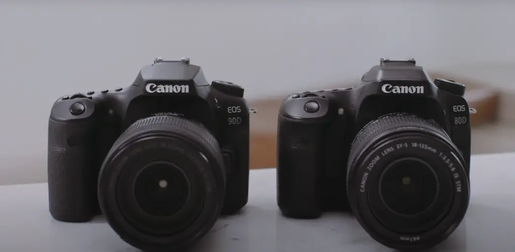 Canon EOS 80D vs.Canon EOS 90D: How to Maintain?