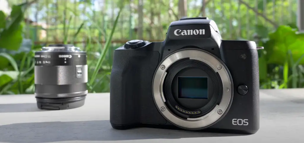 Canon EOS M200 vs. Canon EOS M50: How to Maintain?