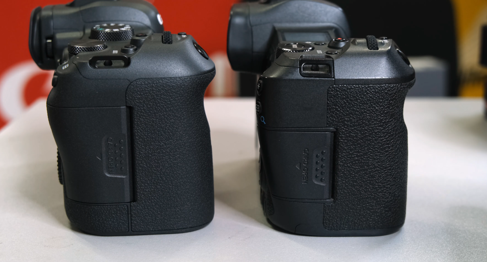 Canon EOS R vs. R6: What’s the Difference? - FotoProfy