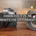 Canon EOS R vs. R6: What’s the Difference?