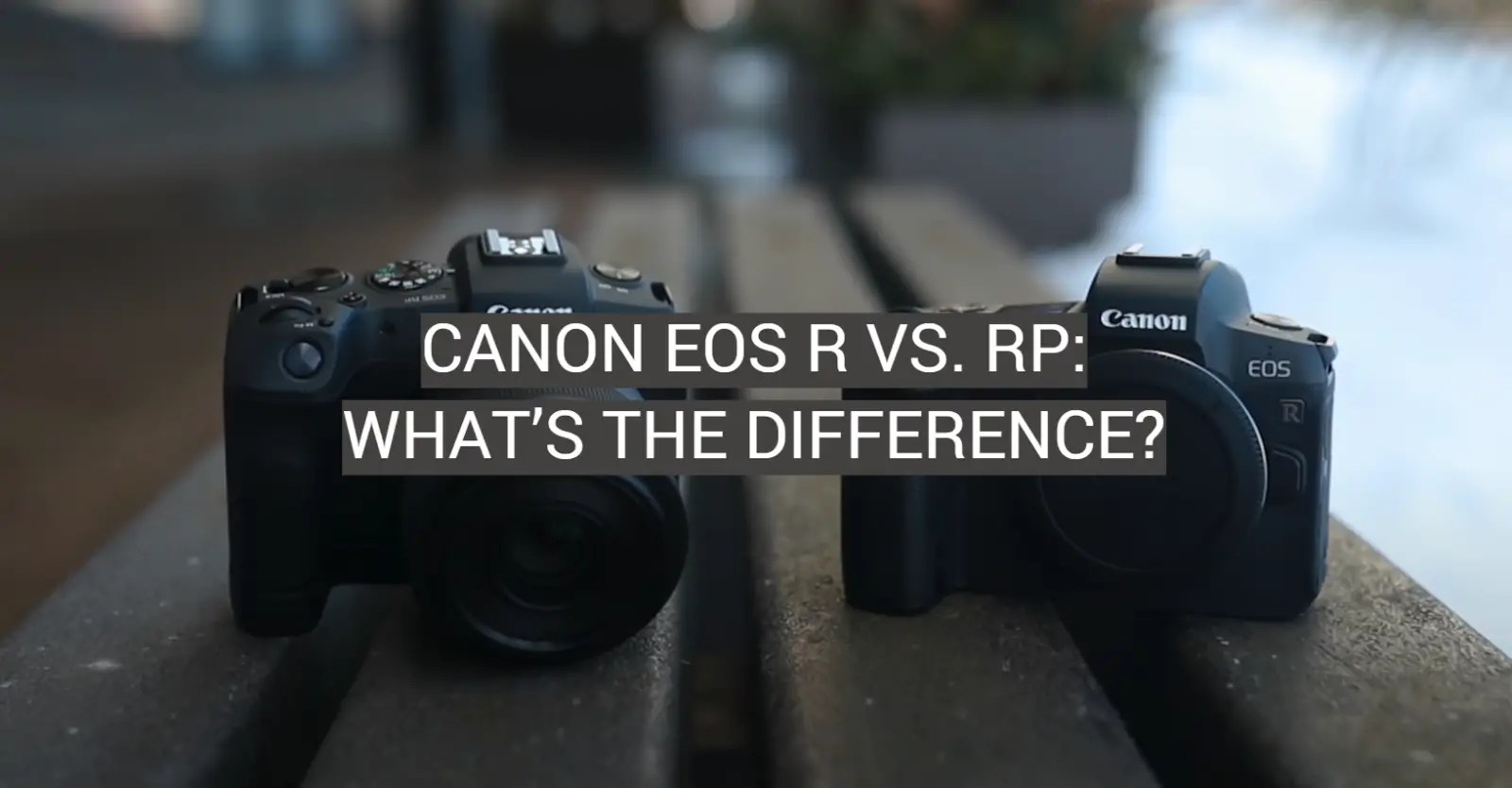 Canon EOS R vs. RP: What’s the Difference?