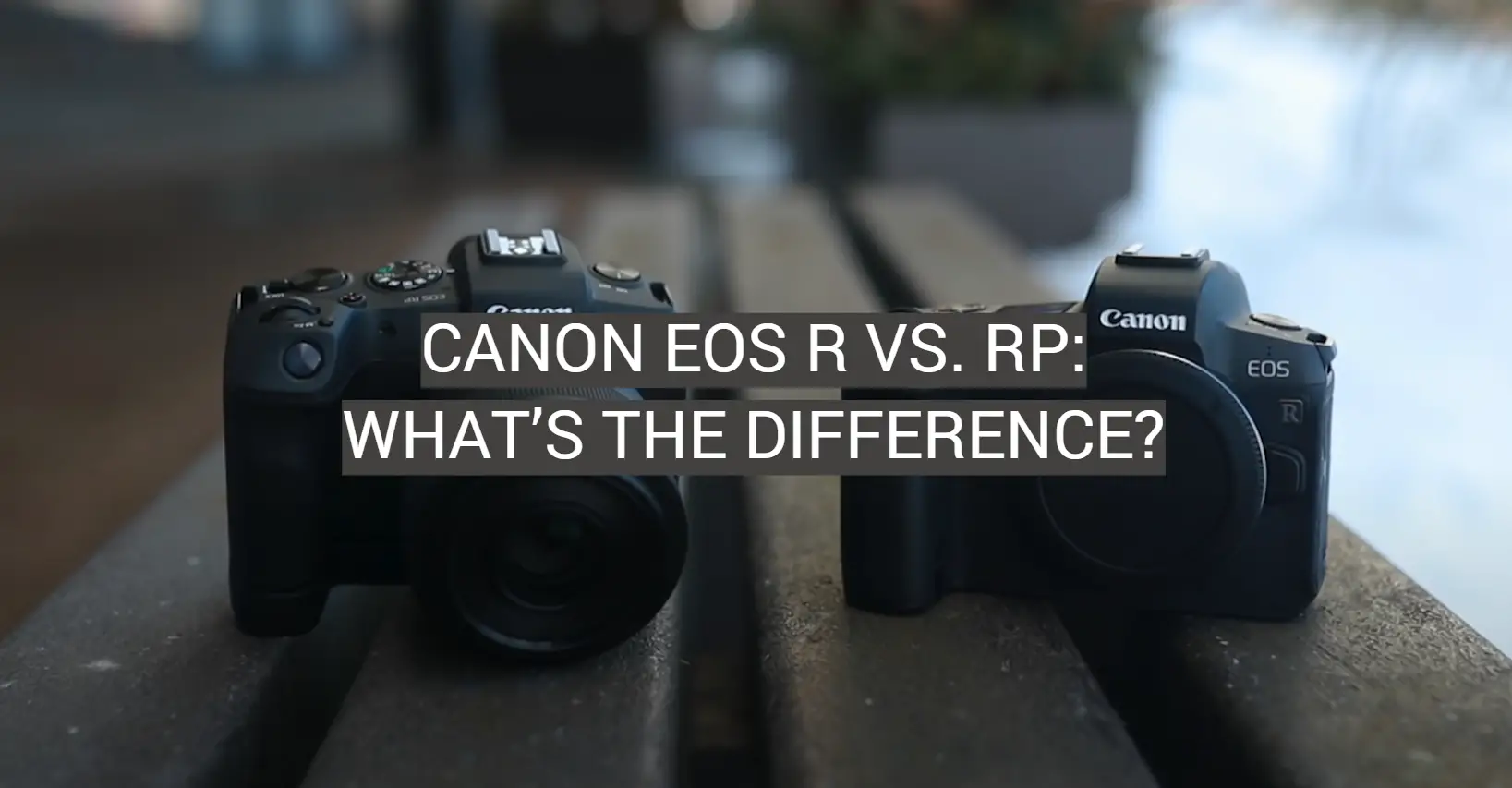 Canon EOS R vs. RP: What’s the Difference?
