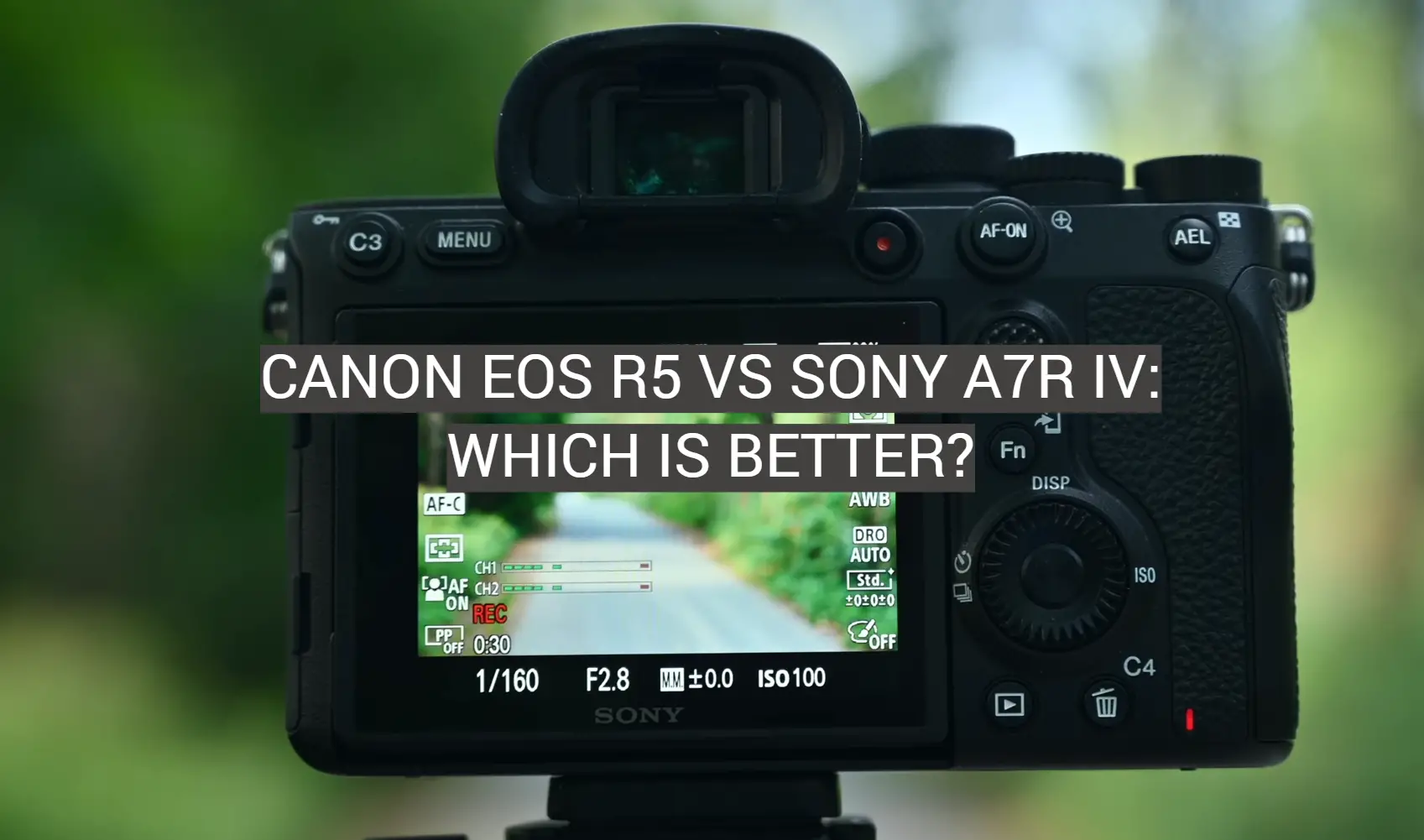 Canon EOS R5 vs Sony a7R IV: Which is Better?