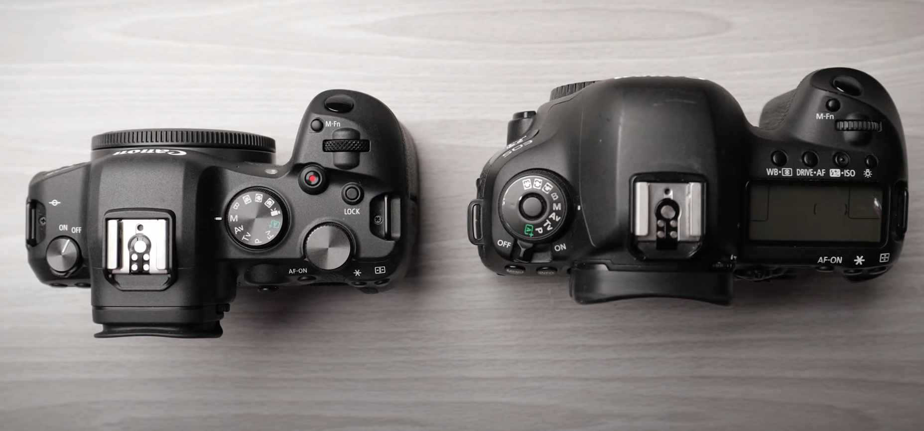 Canon EOS R6 vs. 5D Mark IV What’s the Difference? FotoProfy