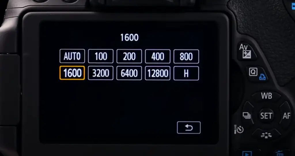 Canon EOS Rebel T5i vs Nikon D5300: Ergonomics & Comfort