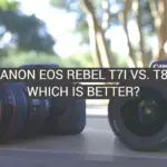 Canon EOS Rebel T7i vs. T8i: Which is Better?