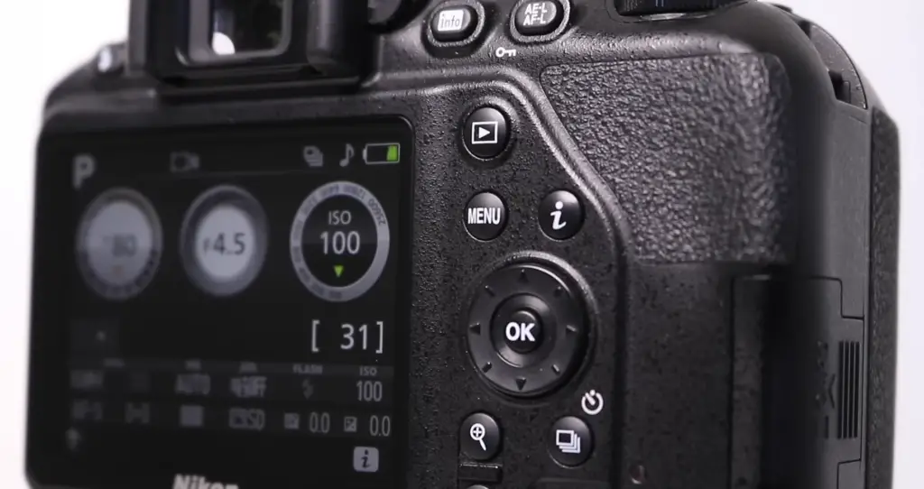 Nikon D3500 vs.Canon T7: How to Maintain?