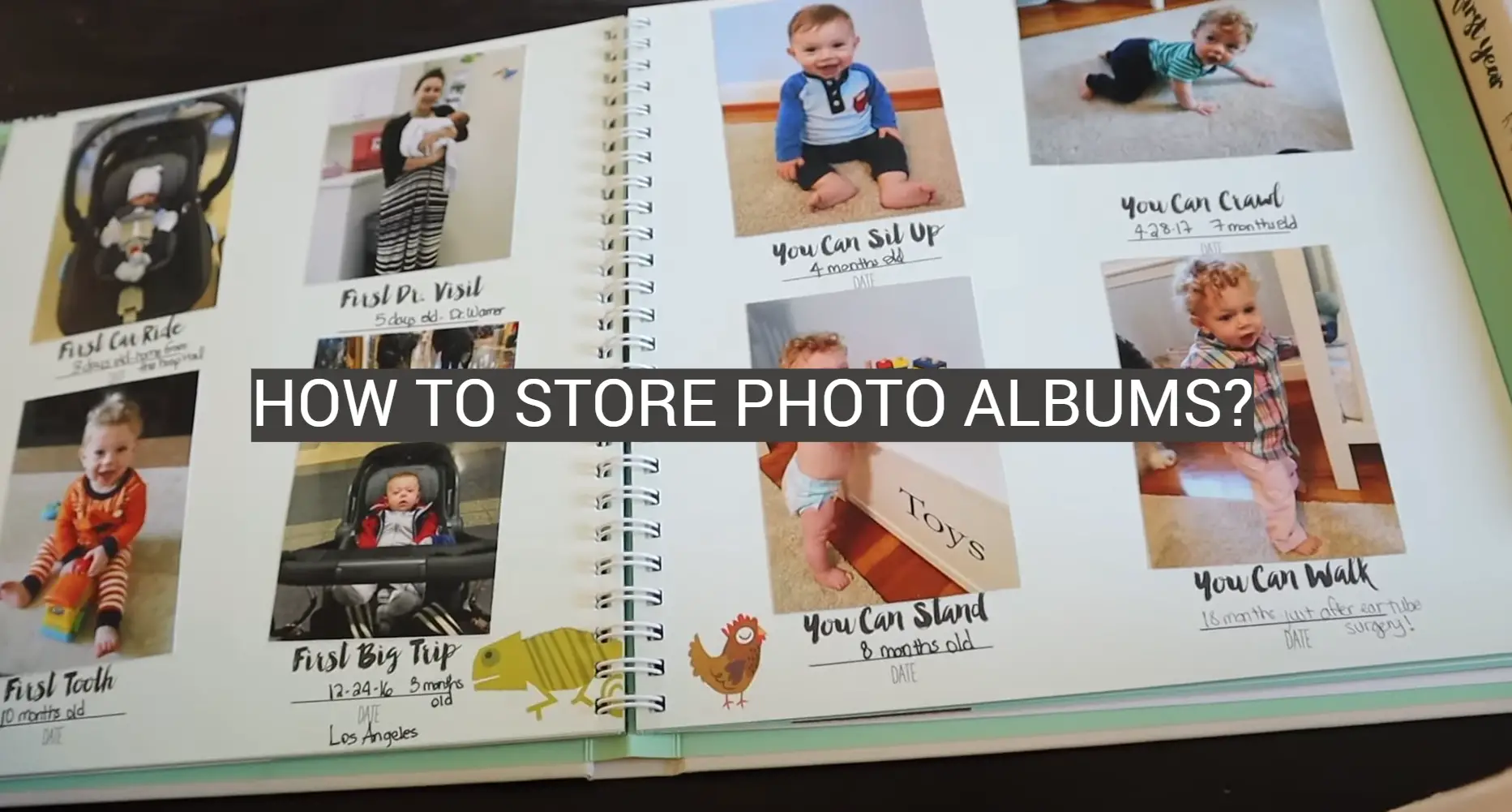 How to Store Photo Albums?