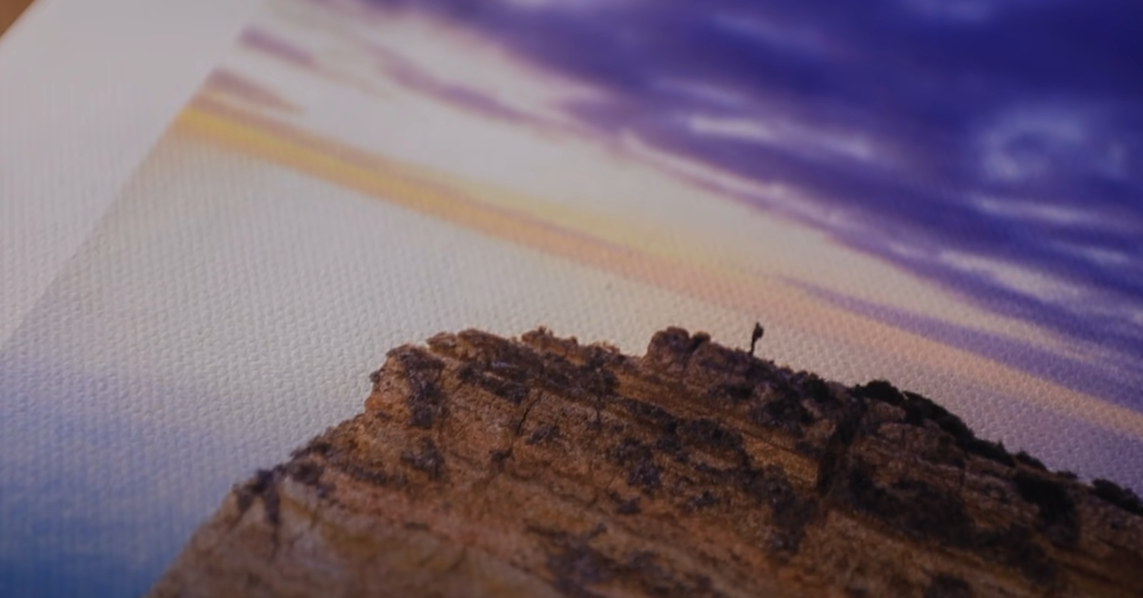 Matte Photo Paper vs. Cardstock Which is Better? FotoProfy