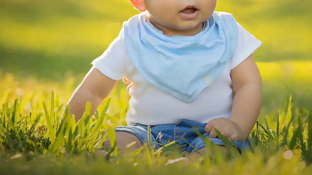 Monthly Boy Baby Milestone Photoshoot Ideas