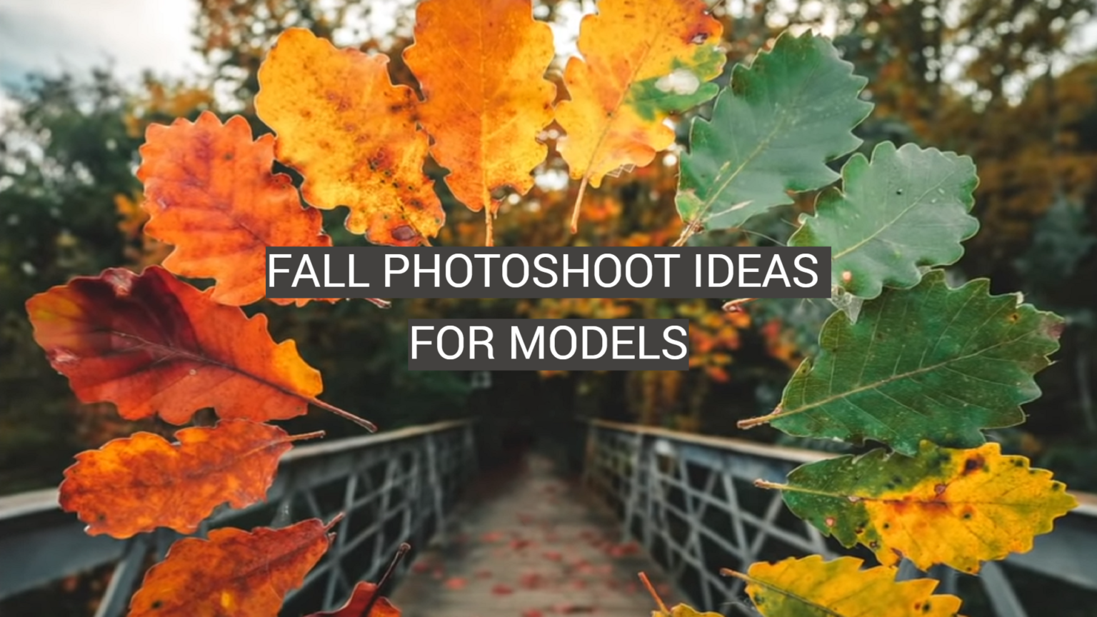 fall-photoshoot-ideas-for-models-fotoprofy