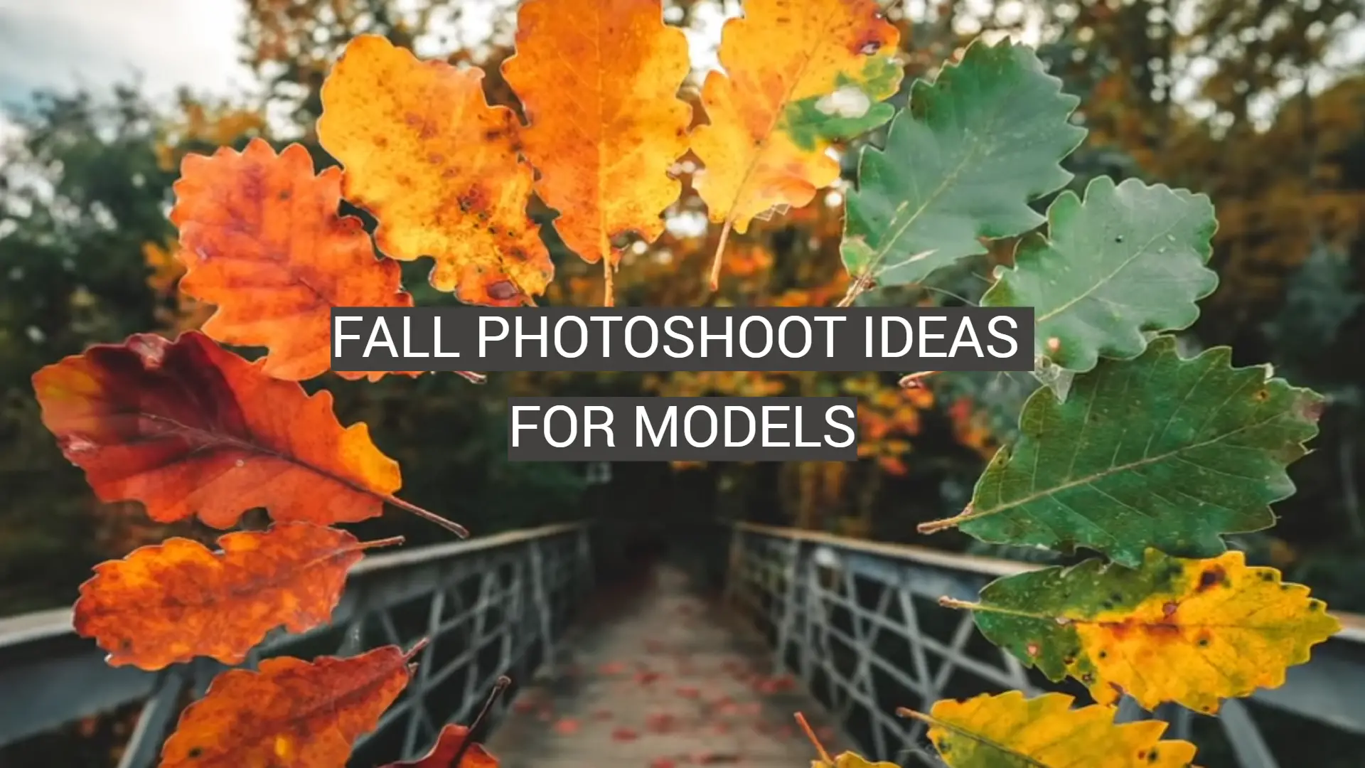 Fall Photoshoot Ideas for Models