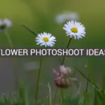 Flower Photoshoot Ideas