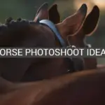 Horse Photoshoot Ideas