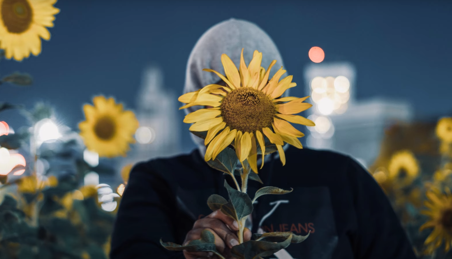 What to Wear for a Sunflower Photoshoot? - FotoProfy
