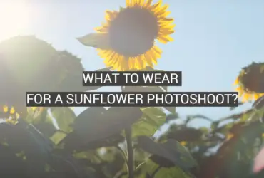 What to Wear for a Sunflower Photoshoot?