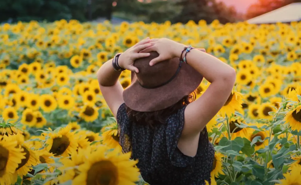 Awesome Sunflower Photoshoot Ideas