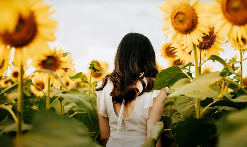 Awesome Sunflower Photoshoot Ideas
