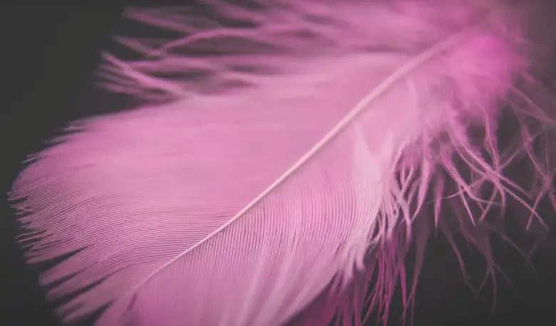 Pink Photoshoot Ideas - FotoProfy