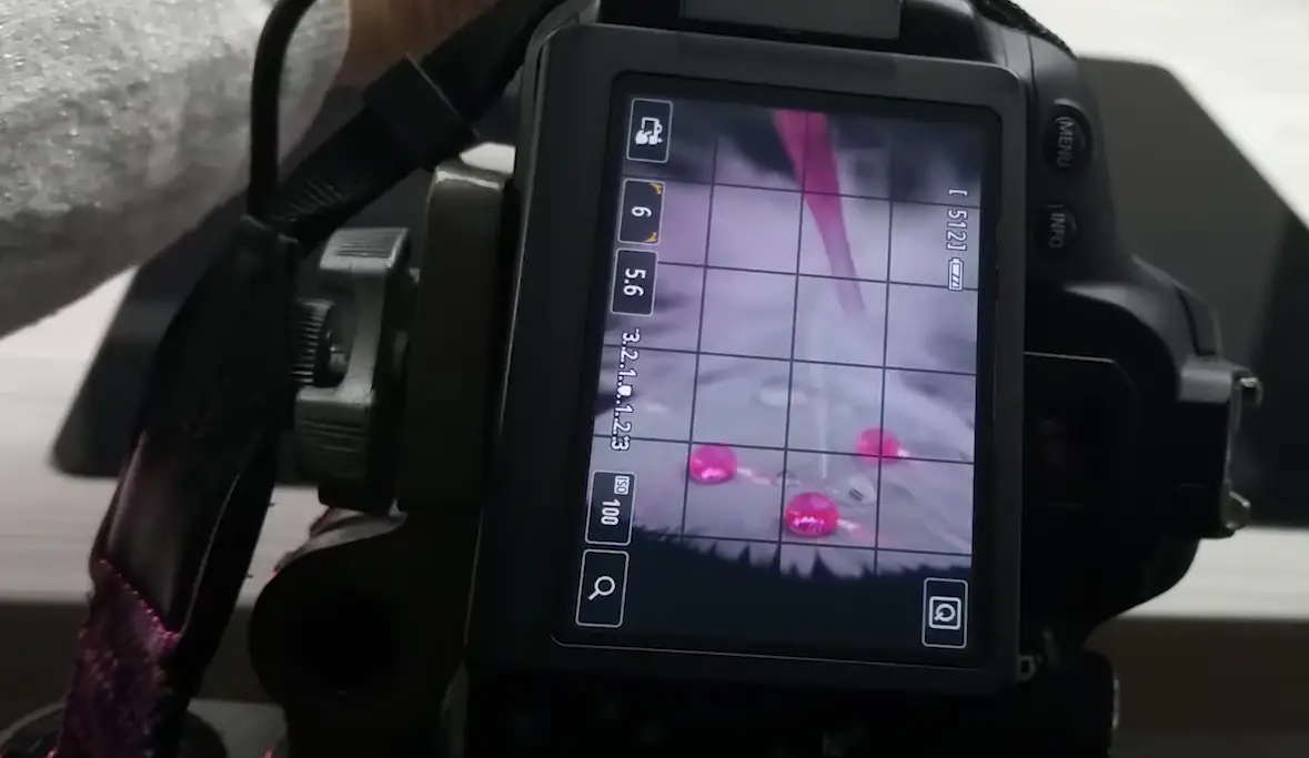 Pink Photoshoot Ideas - FotoProfy