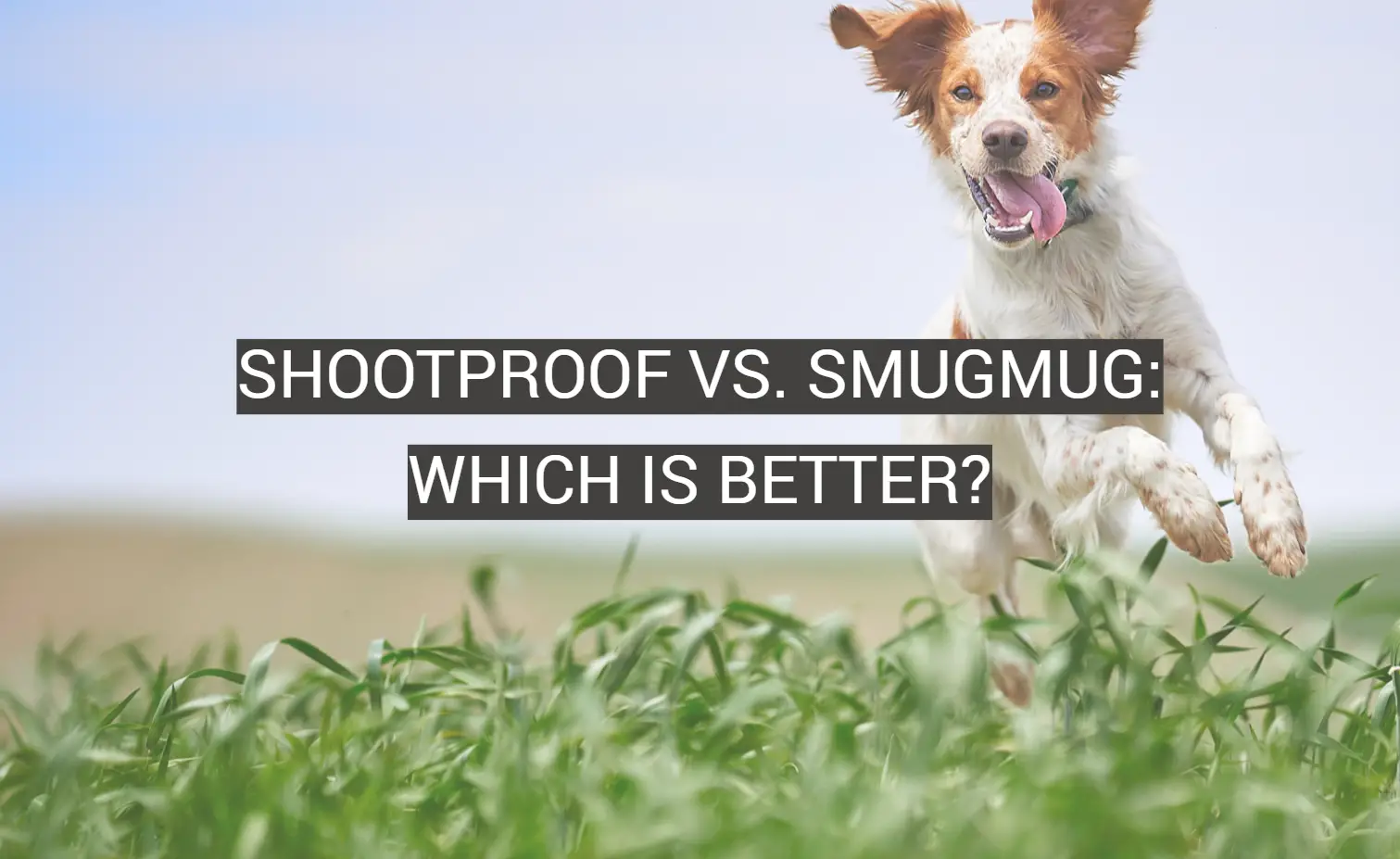 ShootProof vs. SmugMug: Which is Better?