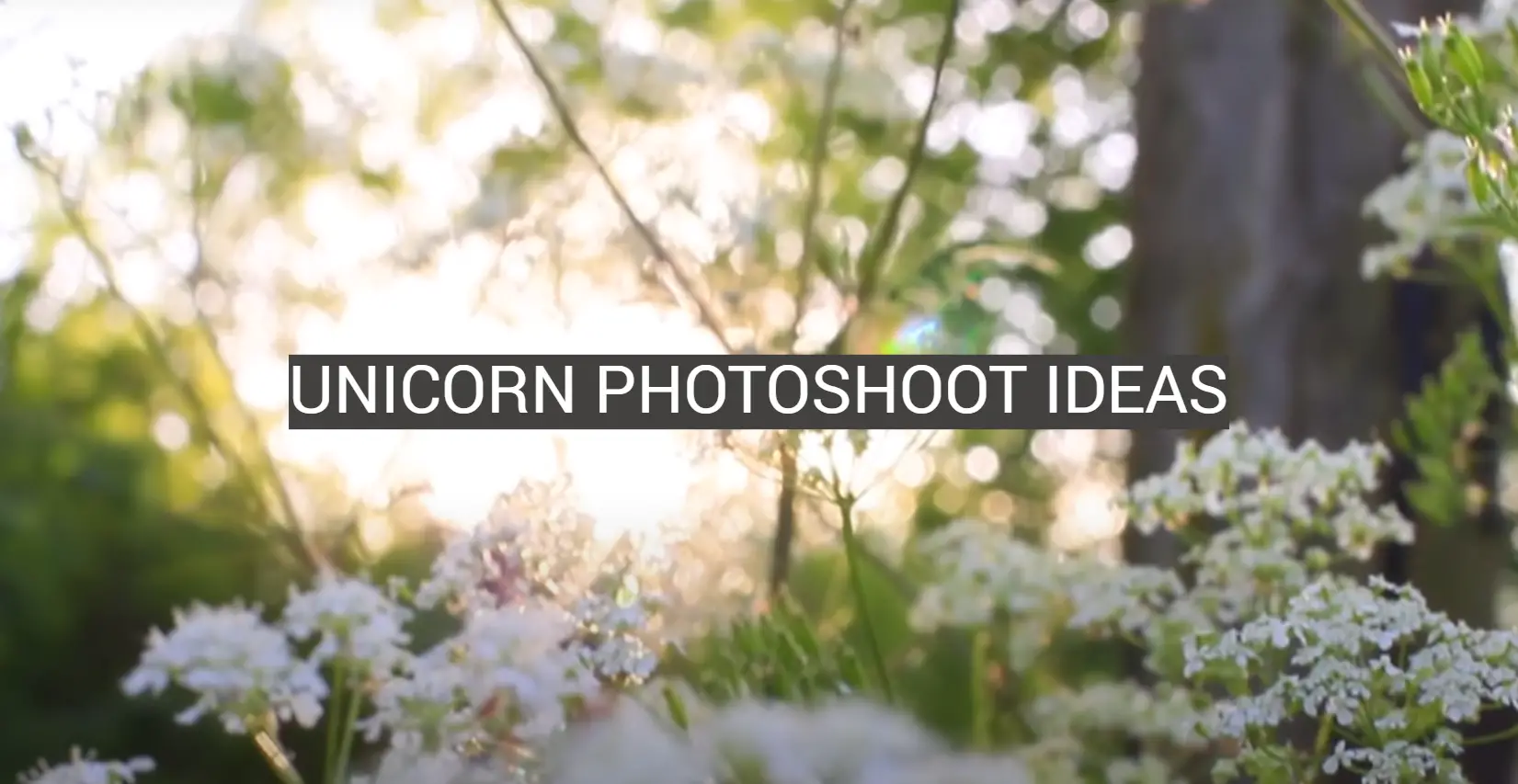 Unicorn Photoshoot Ideas