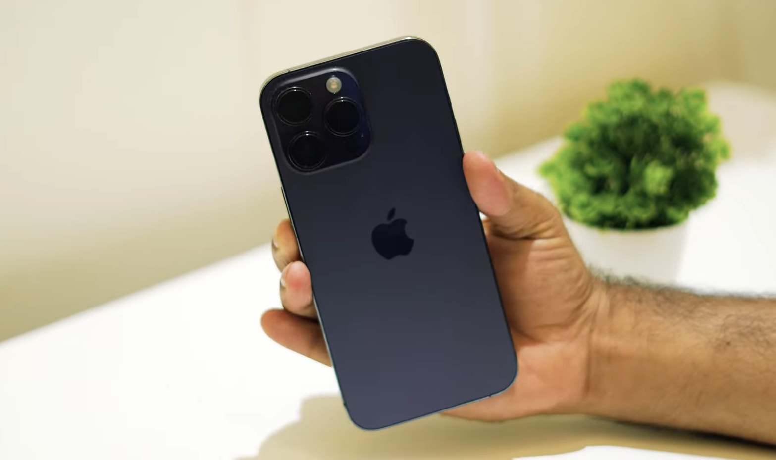 How To Fix Grainy Photos On IPhone? FotoProfy 