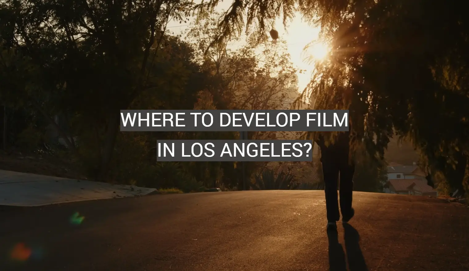 Where to Develop Film in Los Angeles?