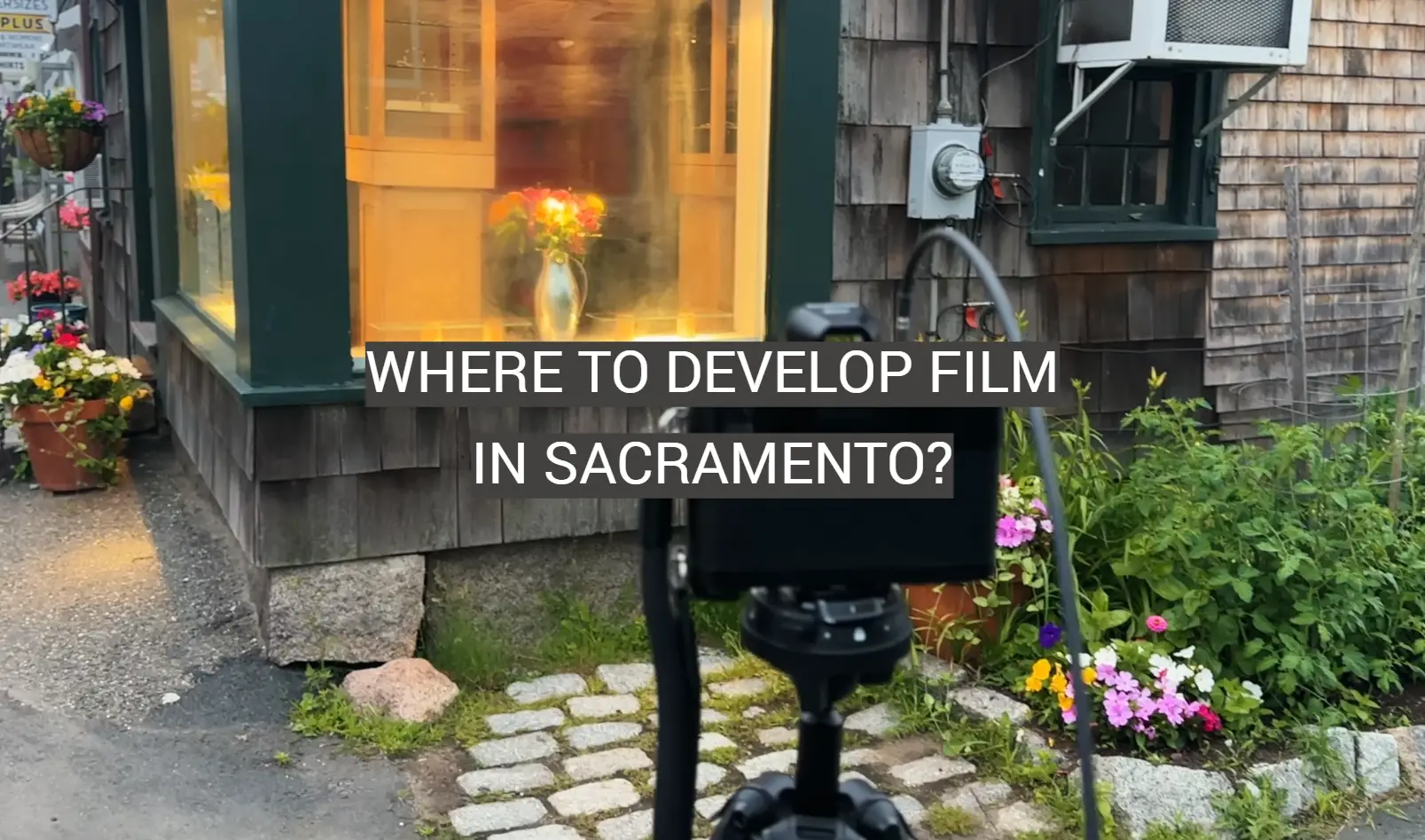 Where to Develop Film in Sacramento?