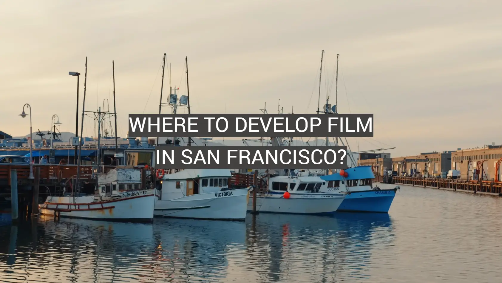 Where to Develop Film in San Francisco?