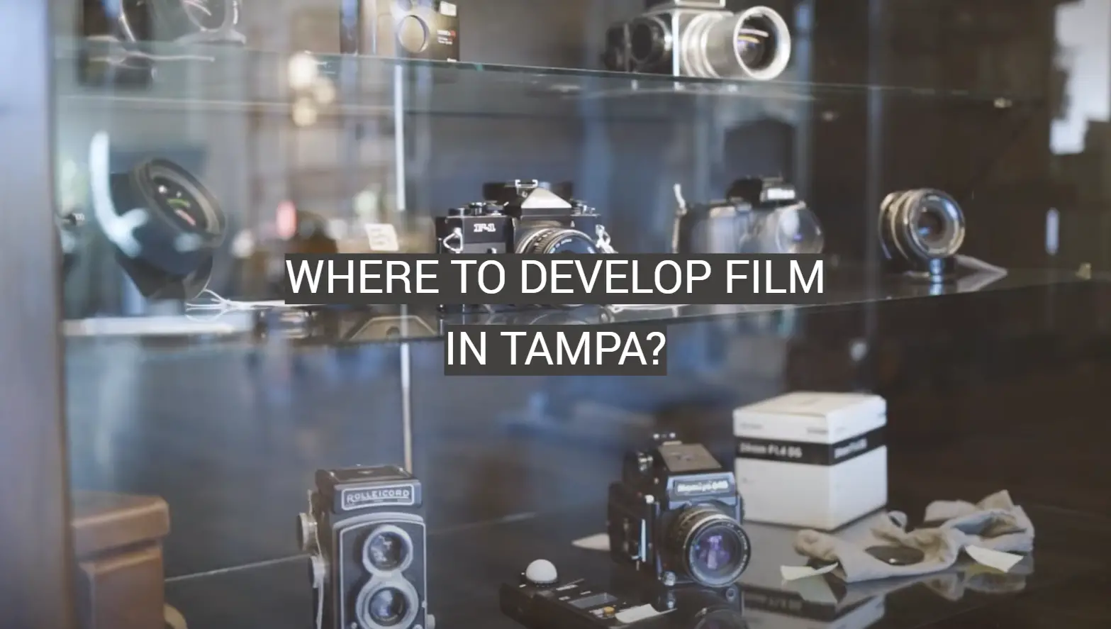 Where to Develop Film in Tampa?