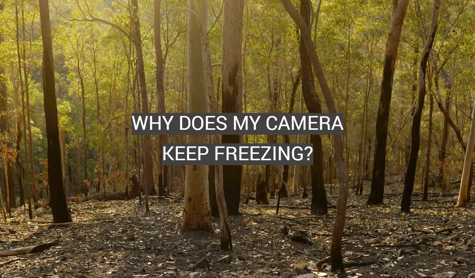 Why Does My Camera Keep Freezing?