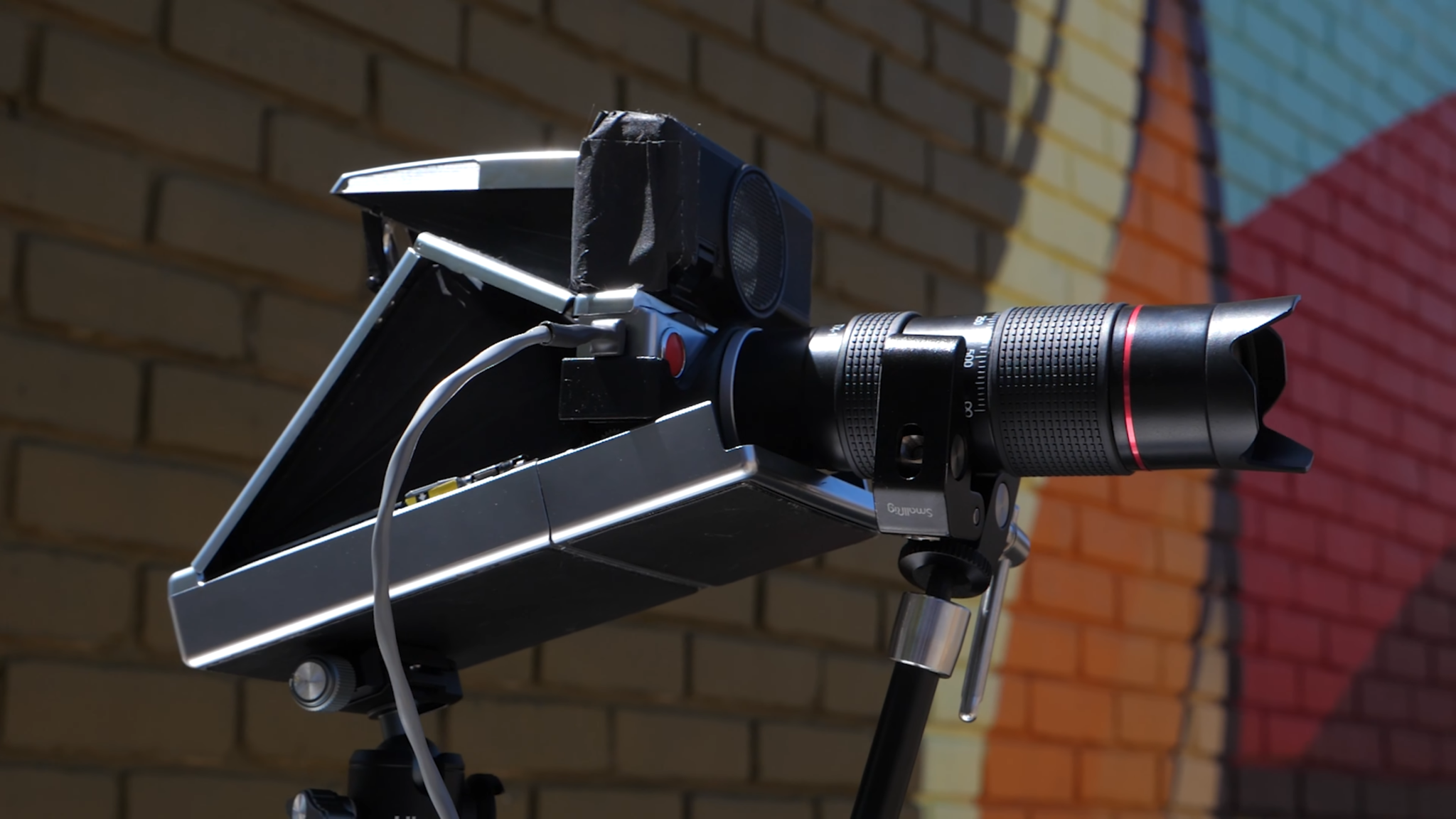 Can You Bring a Disposable Camera on a Plane? FotoProfy